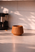 Terracotta Kulhad